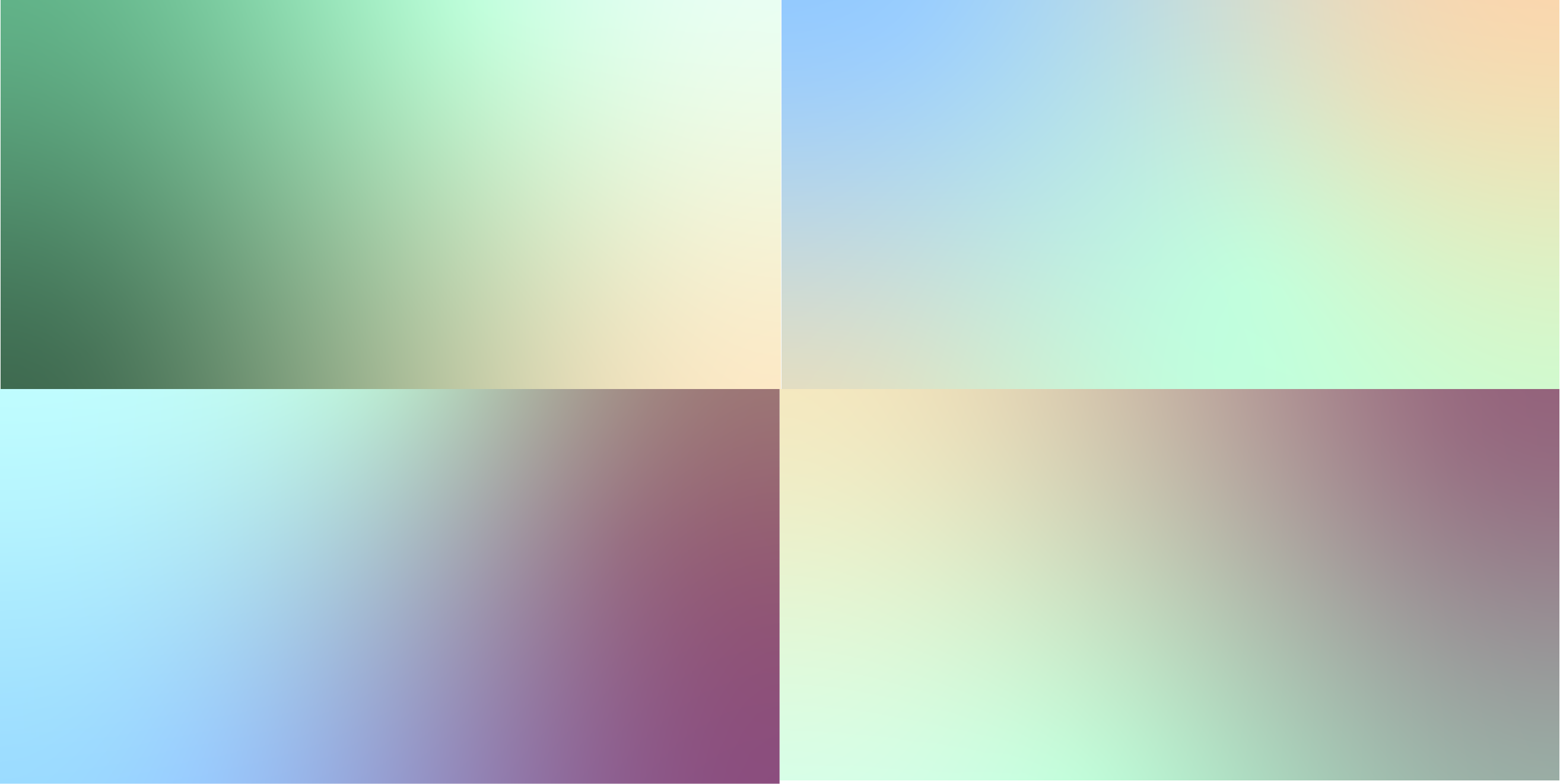 Brand color palette